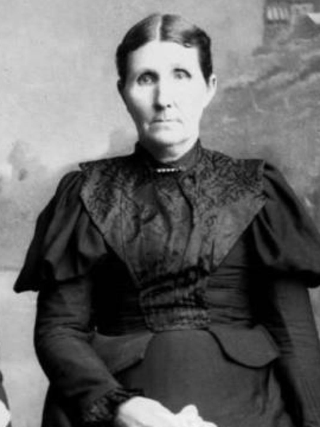 Rachel Emeline Hicks (1849 - 1929) Profile